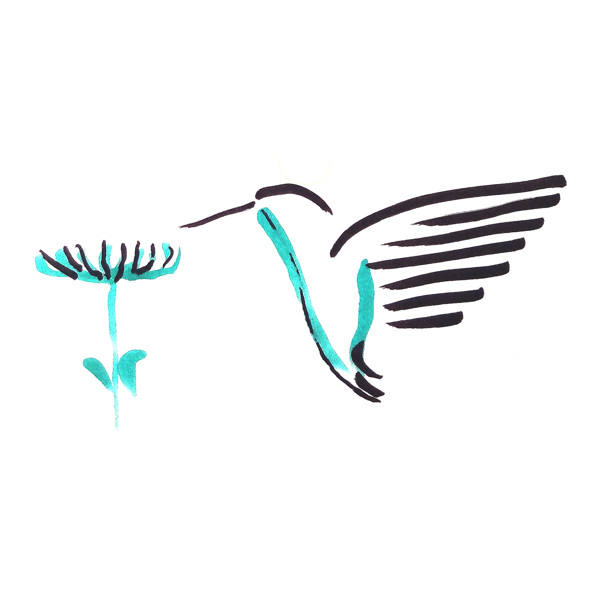 Read more about the article colibri